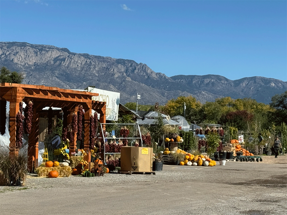 Local garden center